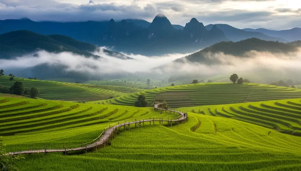 rice paddies in the Pai valley