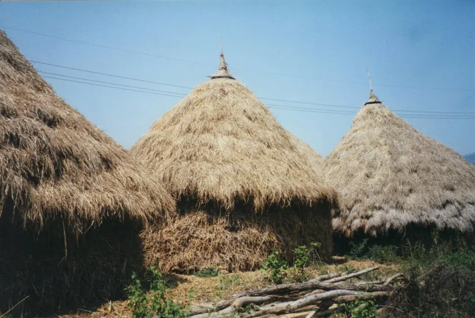 A Scenic View Of Traditional Straw Huts In Rural Chiang Rai Thailand