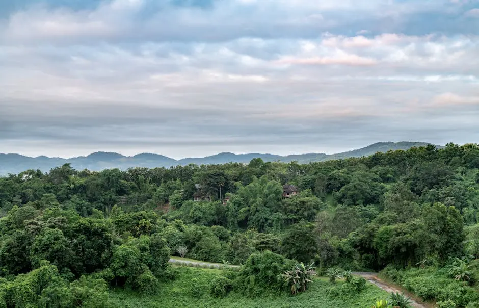 Beautiful View Of Lush Green Hills And Forests In Chiang Rai Thailand