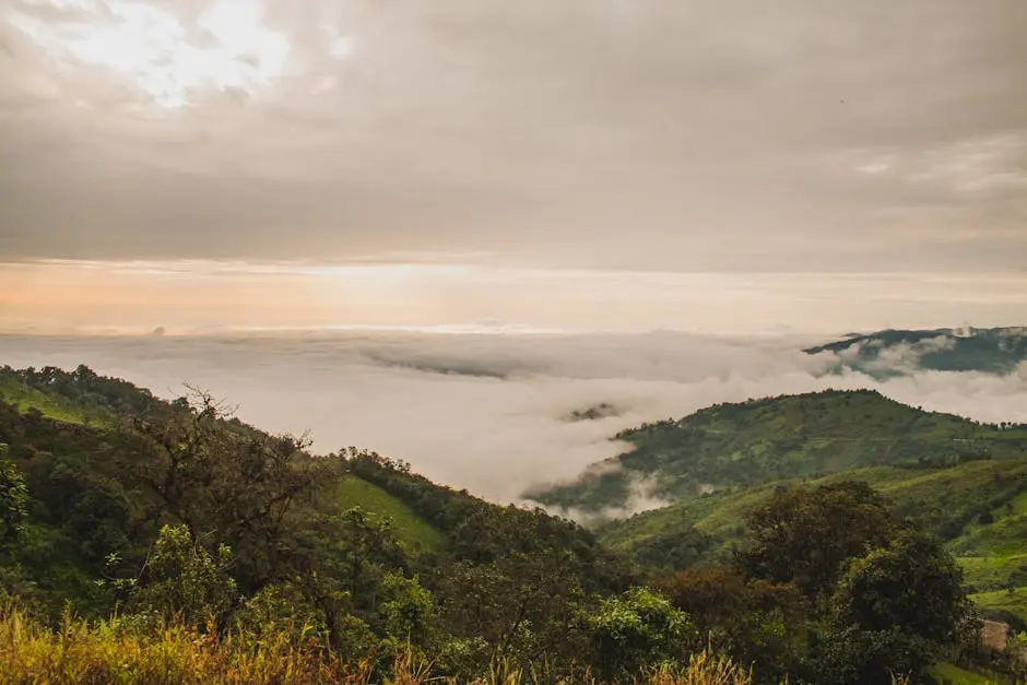Breathtaking Mountain Panorama With Rolling Fog And Lush Green Hills U