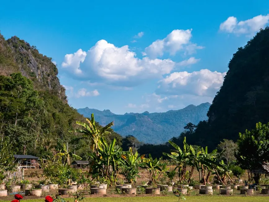 Lush Green Landscape With Banana Plants In Mae Hong Son Thailand Again
