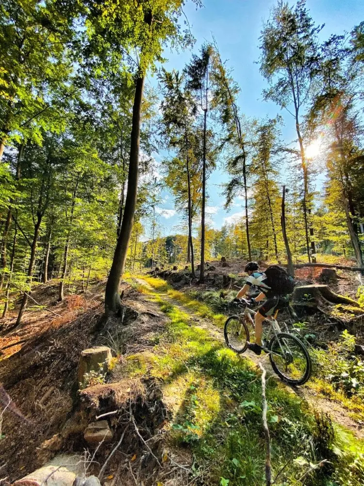 Mountain Biking Trails In Chiang Mai