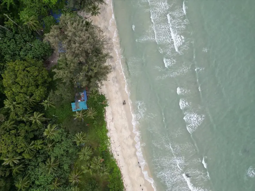Top Down View Of A Tropical Beach With Lush Greenery And Gentle Ocean