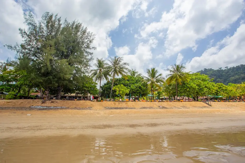 Tranquil Tropical Beach With Palm Trees And Clear Skies In Thailand